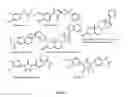 Fig. 02 - Androgen receptor down-regulating agents and uses thereof