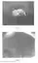 Fig. 02 - Polypeptide porous body and method for producing same