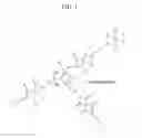 Fig. 02 - Composition for preparing polyimide-inorganic composite material, and article prepared by using same