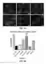 Fig. 02 - Growth matrices for stem cell propagation in vitro and in tissue regeneration