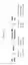 Fig. 02 - T cell balance gene expression, compositions of matters and methods of use thereof