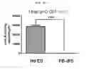 Fig. 09 - Induced pluripotent stem cell model for Fabry disease and use thereof