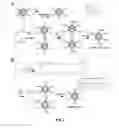 Fig. 02 - Viral nanoparticle multimers