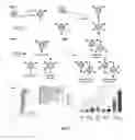 Fig. 06 - Viral nanoparticle multimers