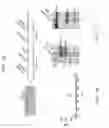 Fig. 02 - Method of producing dicer