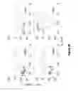 Fig. 41 - Biomolecular processing platform and uses thereof