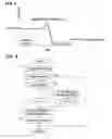 Fig. 04 - Exhaust gas recirculation control device and exhaust gas recirculation control method for internal combustion engine