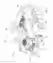 Fig. 02 - Engine for outdoor power equipment unit