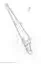 Fig. 02 - Rotor blade of a wind turbine