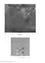 Fig. 03 - Liquid-driven nano-porous actuator and the application thereof