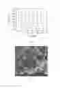 Fig. 06 - Liquid-driven nano-porous actuator and the application thereof