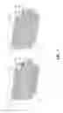 Fig. 05 - Bearing