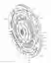 Fig. 01 - Torsional vibration damper for hydrokinetic torque coupling device