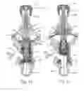 Fig. 04 - Media Control Valve