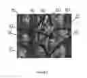 Fig. 03 - CAMOUFLAGE PATTERN WITH FILLABLE LEAVES