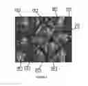 Fig. 04 - CAMOUFLAGE PATTERN WITH FILLABLE LEAVES