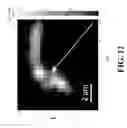 Fig. 13 - Single molecule spectroscopy using photothermal tuning of optical microcavities
