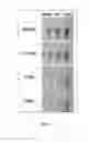 Fig. 06 - HYDROGEL, PREPARATION METHOD THEREOF, AND pH SENSOR COMPRISING THE SAME