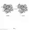 Fig. 02 - Chromophore compositions and methods of making and using the same