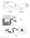 Fig. 09 - X-ray Excited Optical Materials and Methods for High Resolution Chemical Imaging