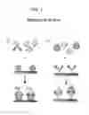 Fig. 02 - RAPID TEST FOR CELLULAR FIBRONECTIN