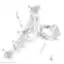 Fig. 02 - CABLE TRAVERSING CAMERA CARRYING DEVICE