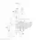 Fig. 04 - Image forming apparatus having an image bearing member charged with predetermined polarity and potential