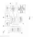 Fig. 02 - REAL-TIME MODIFICATION OF INPUT METHOD BASED ON LANGUAGE CONTEXT