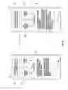 Fig. 06 - Finger biometric sensor data synchronization via a cloud computing device and related methods