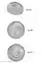 Fig. 08 - Drill bit design