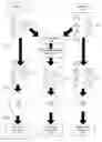 Fig. 01 - GENERATING AND MANAGING A HYBRID FORMULARY