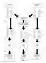 Fig. 02 - GENERATING AND MANAGING A HYBRID FORMULARY