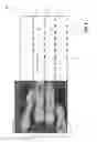 Fig. 09 - Method and apparatus for biometric-based security using capacitive profiles