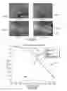 Fig. 27 - Automated geospatial image mosaic generation with multiple zoom level support