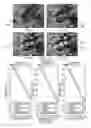 Fig. 28 - Automated geospatial image mosaic generation with multiple zoom level support