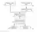 Fig. 01 - METHOD AND SYSTEM OF CLASSIFYING MEDICAL IMAGES