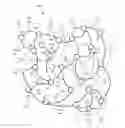 Fig. 01 - Organizing neural networks