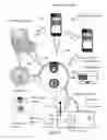 Fig. 04 - Remote identity verification of lodging guests