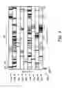 Fig. 04 - Language Identification
