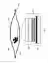 Fig. 06 - PRIMARY PACKAGING COMPRISING PHOTOVOLTAIC DEVICE