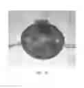 Fig. 71 - Trimmer head with pivoting posts