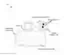 Fig. 01 - Apparatus, system and method for producing fungi for use in a ecosystem