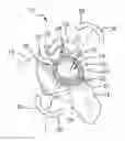 Fig. 01 - Fly catching animal mask device