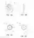 Fig. 03 - Two-in-one finch bird feeder