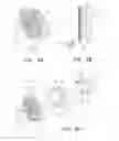 Fig. 06 - Two-in-one finch bird feeder