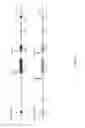 Fig. 04 - Non-human animals having a humanized programmed cell death 1 gene