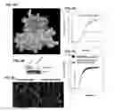 Fig. 05 - Platelet storage methods and compositions for same