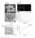 Fig. 06 - Platelet storage methods and compositions for same