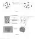 Fig. 02 - DRY MELT COATING PROCESS AND FORMULATION FOR VOLATILE COMPOUNDS
