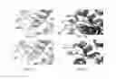 Fig. 04 - ANTIMICROBIAL METHOD BY BLOCKING MANNITOL METABOLISM AND ANTIMICROBIAL COMPOSITION CONTAINING MANNITOL METABOLIC INHIBITOR